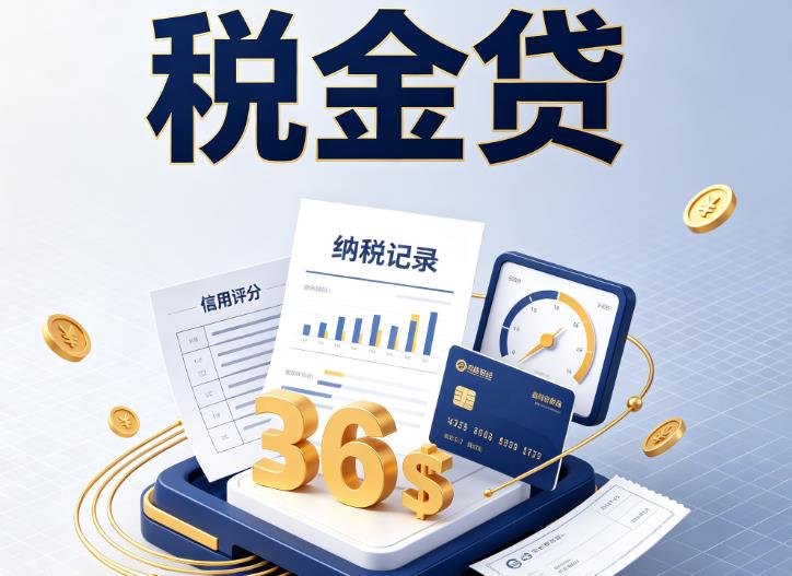 嘉兴秀洲区企业税贷|嘉兴秀洲区企业设备回租|嘉兴秀洲区税贷过桥